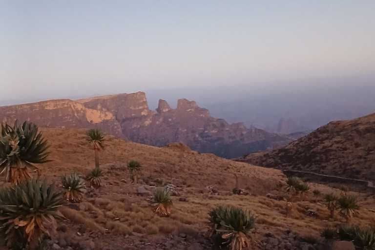 Nordäthiopien erkunden: 17-tägige Tour