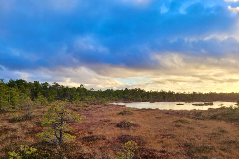 Ķemeri Bogs Adventure: Explore Wetlands In Bog Shoes