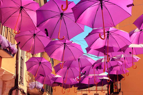 From Madrid: Brihuega Lavender Fields Guided Tour