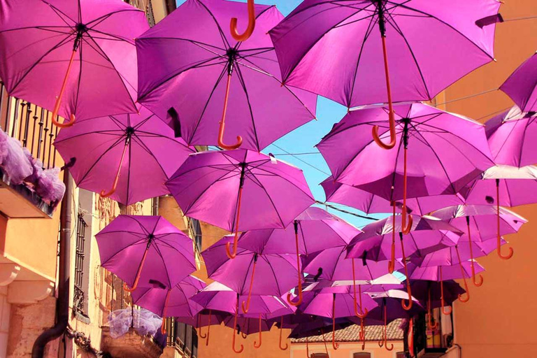 From Madrid: Brihuega Lavender Fields Guided Tour