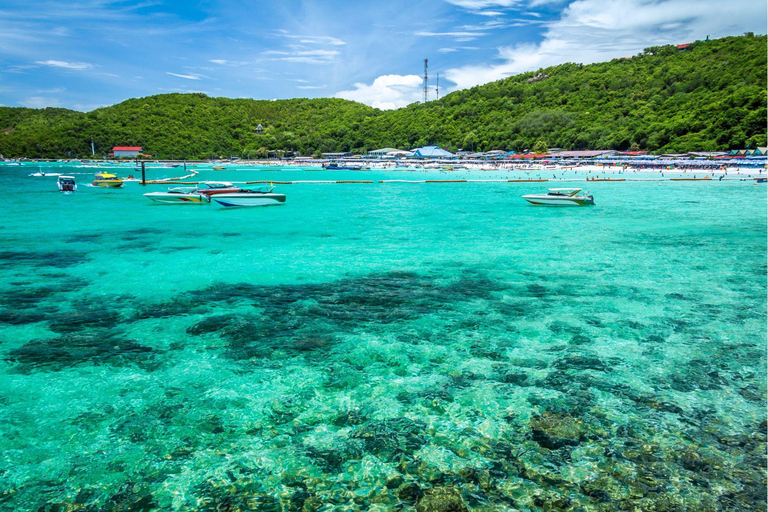 Pattaya : Excursion de luxe en hors-bord sur l&#039;île de Corail avec déjeuner