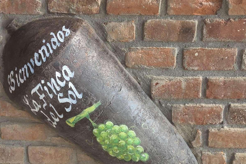 Full-Day Tour to Paracas, Vineyards and Huacachina