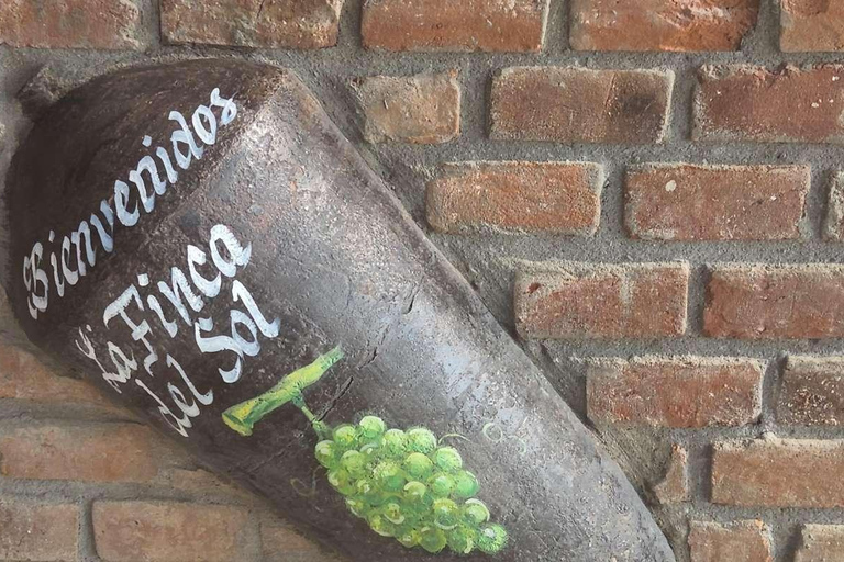 Full-Day Tour to Paracas, Vineyards and Huacachina