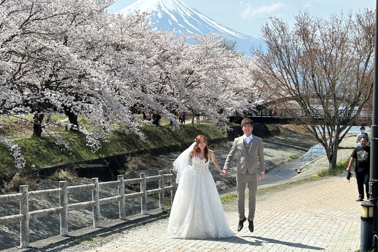 Mt. Fuji & Hakone Private Tour T/F Tokyo, Yokohama up to 12 From Yokohama to Tokyo up to 10