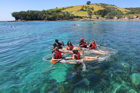 Leigh: Goat Island 60-Minute Clear Kayak Rental Leigh: Goat Island 60-Minute Clear Kayak Rental