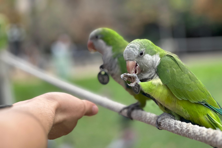 Barcelona: prywatne zajęcia z fotografii telefonicznej – park i stare miastoBarcelona: Prywatne zajęcia z fotografii telefonicznej – park i stare miasto