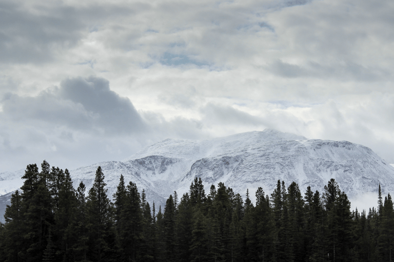 Small Group Skagway, White Pass & Gold Rush Adventure