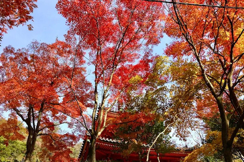 Hiroshima: Mitaki-dera Temple and Peace Pagoda Tour