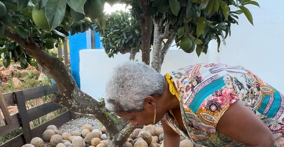 20 minutes away from Albufeira: Gourd Crafting Workshop