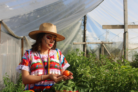 Oaxaca: Sustainable Mezcal Tour at an Award-Winning Family Distillery
