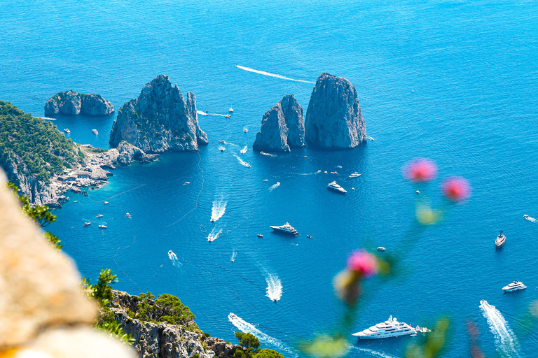从那不勒斯出发：卡普里岛和阿纳卡普里岛蓝色洞穴导览游卡普里岛法语之旅