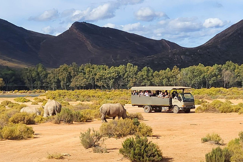 Cape Town: Aquila Game Reserve Safari with Buffet & Pickup