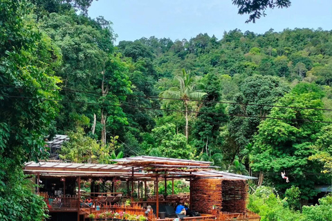 Samui Zipline FLY & Fun Tree Bridge Jungle Cafe & Waterfall