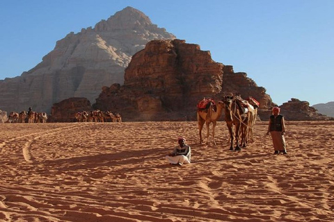 Tour naar Wadi Rum vanuit Amman of de hele dag over de Dode ZeeTour naar Wadi Rum vanuit Amman of DeadSea Minivan van een hele dag 7pax