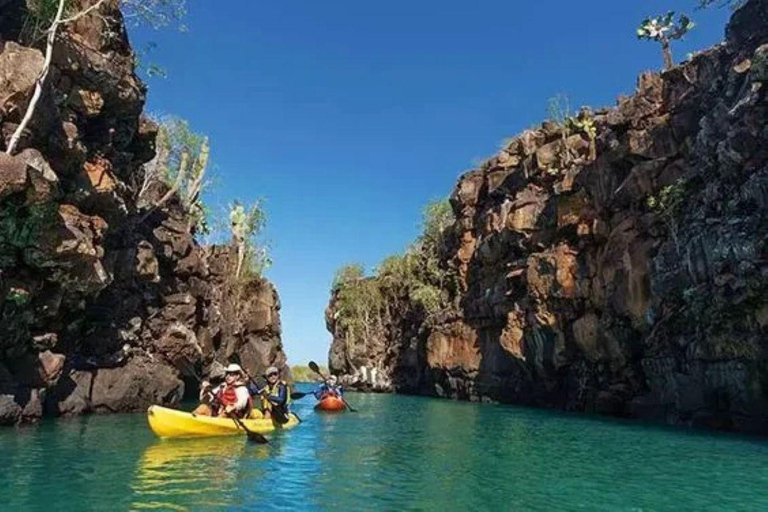Santa Cruz: Kayaking and Snorkeling Adventure in Academia Bay