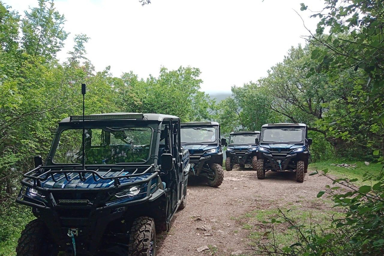 Kotor: Dzikie safari i panoramiczna przygoda z buggy