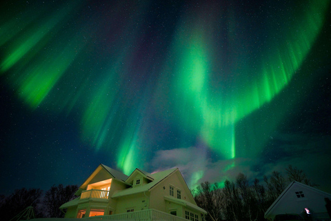 Tromsø: Aurora Crystal Lavvo Übernachtung mit Aktivitäten