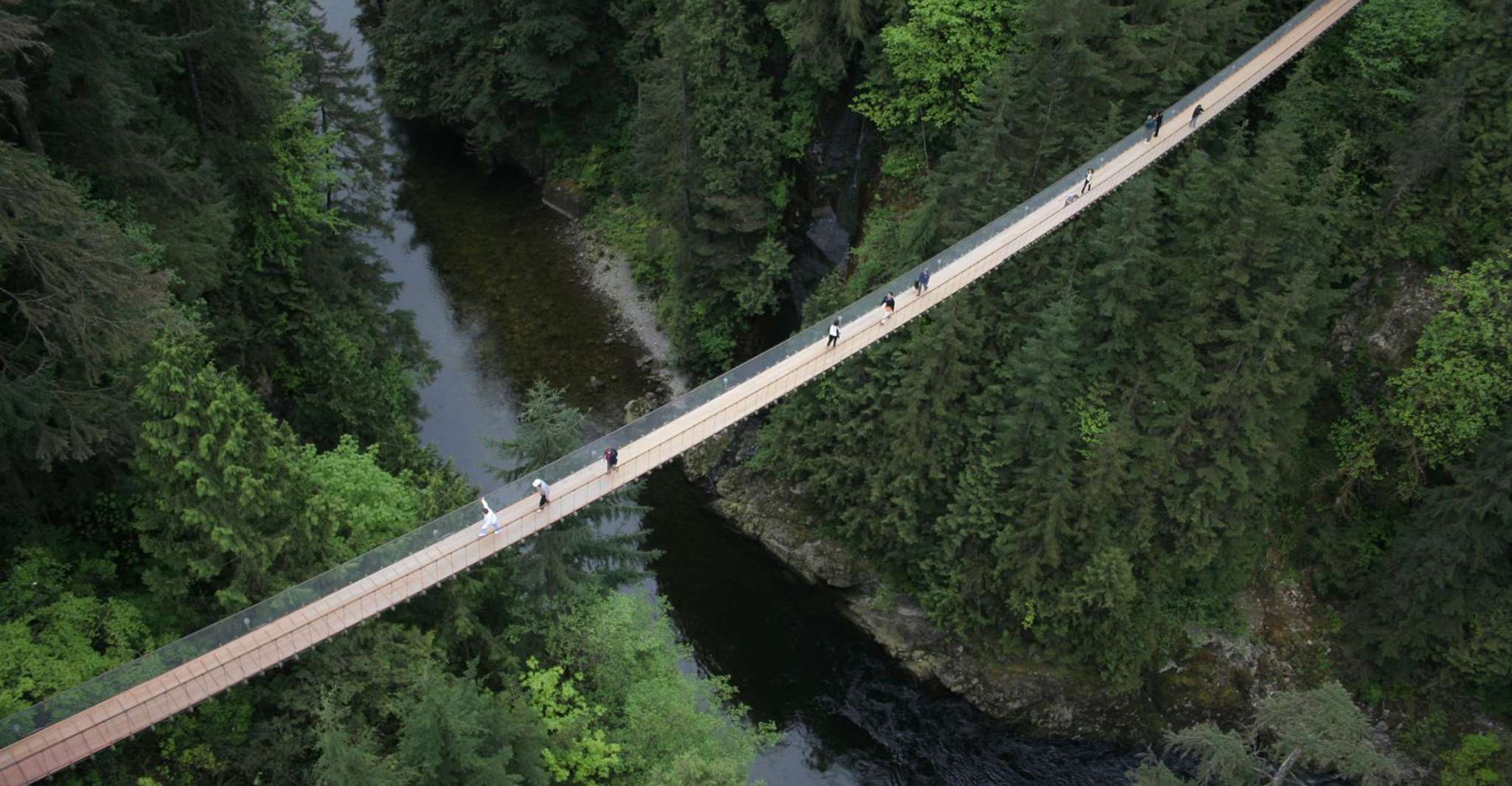 Vancouver Highlights: Capilano Bridge & Granville Island