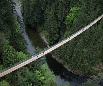Visita a Vancouver e a Ponte Suspensa de Capilano: Meio dia