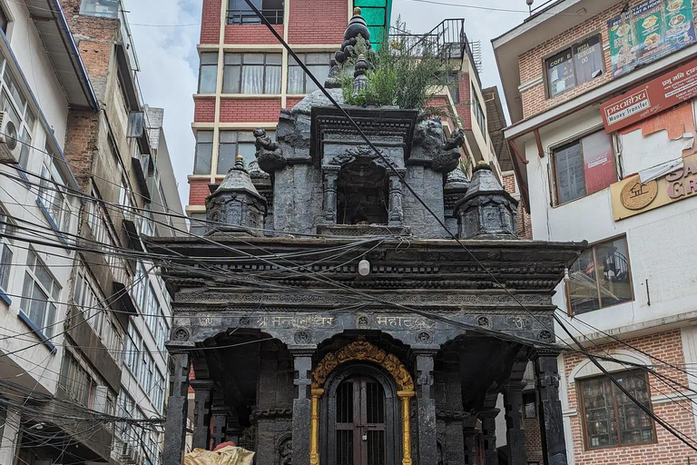 Vom Basar zum Hippie-Treffpunkt: Ason &amp; Freak Street Tour