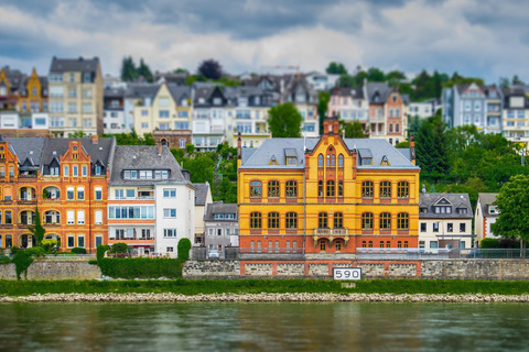 Koblenz private guided city tour