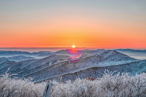 Depuis Séoul : Randonnée au lever du soleil de Taebaeksan sur les fleurs de neige et K-food