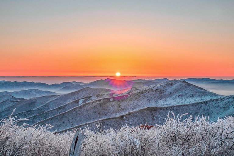 Depuis Séoul : Randonnée au lever du soleil de Taebaeksan sur les fleurs de neige et K-food