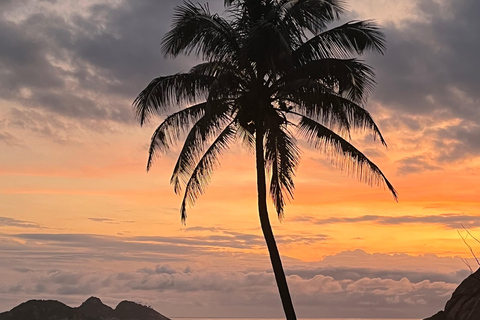 Rio de Janeiro: Pedra Bonita Hike and Paradise Beach Rio de Janeiro: Pedra Bonita Hike and Paradisíaca Beach
