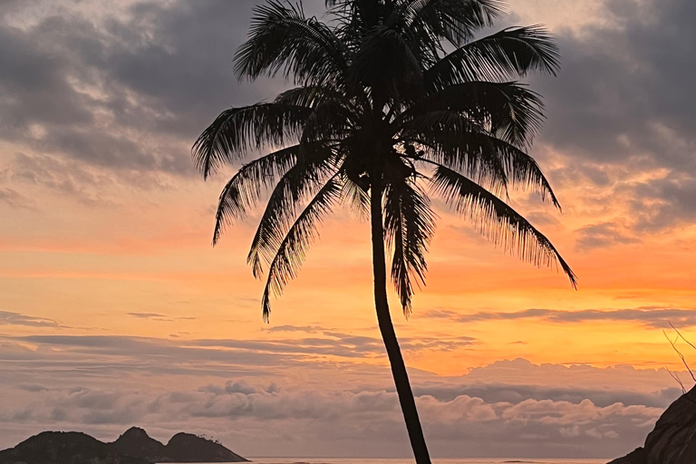 Rio de Janeiro: Pedra Bonita Hike and Paradise Beach Rio de Janeiro: Pedra Bonita Hike and Paradisíaca Beach