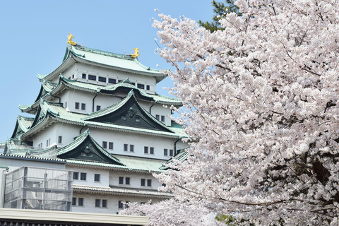 Nagoya : Visite guidée en anglais de la ville en jogging (2 heures)Nagoya : Visite guidée en anglais de la ville en jogging