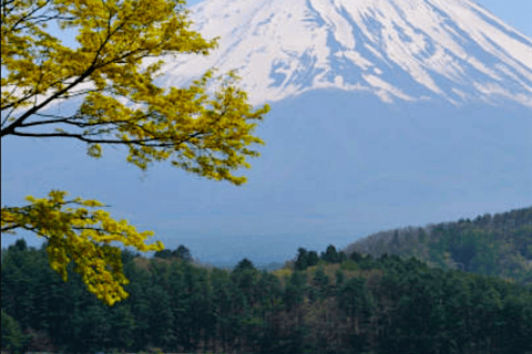 2 jours Tokyo, excursion au Mont Fuji visite guidée privée