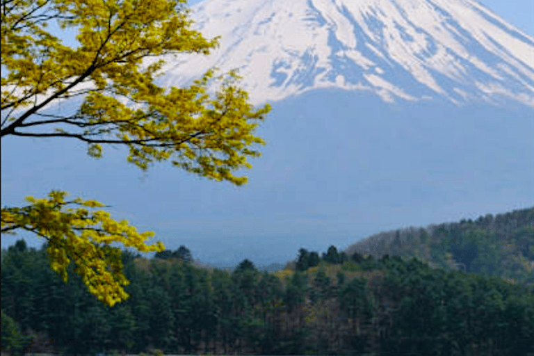 2 dni Tokio, wycieczka na górę Fuji z prywatnym przewodnikiem