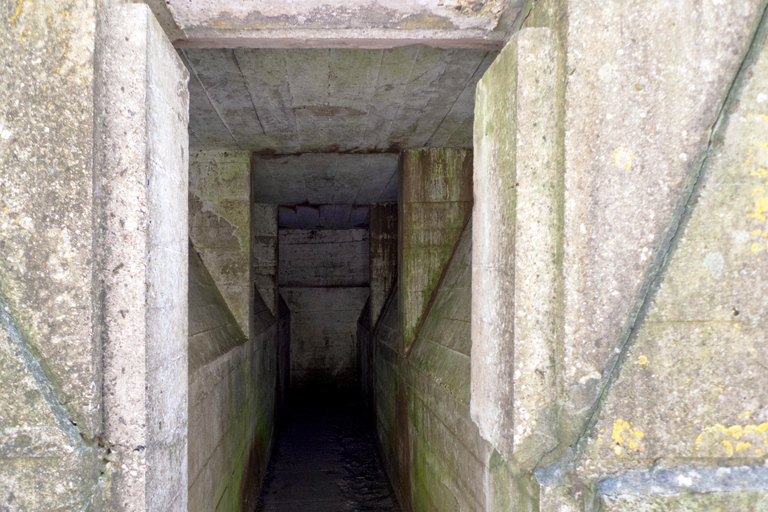 Brussels: Private World War I Tour: Trenches & Battlefields