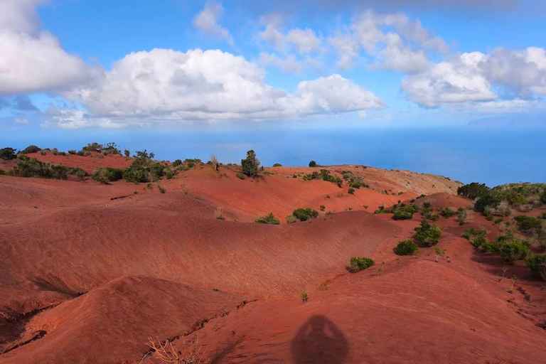 Tenerife - La Gomera: Private Expedition to the Prehistoric Forest
