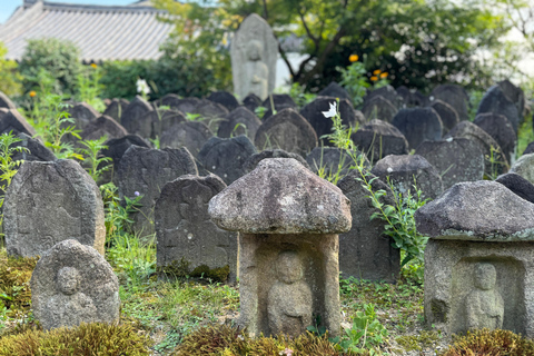 Nara: Templo Gangoji, Patrimonio de la Humanidad, y casco antiguo de Naramachi