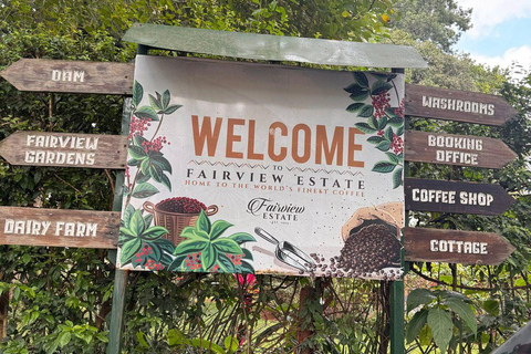 Nairobi: Half day Coffee Farm tour with a local guide