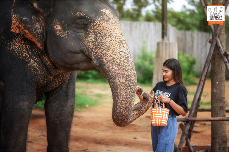 Phuket: Elephant Jungle Sanctuary Ethical Feeding Experience