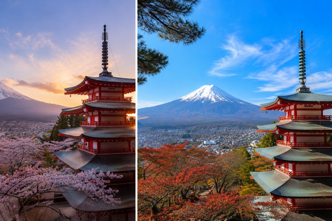 Fuji & Hakone Private Car Tour with Bullet Train Return