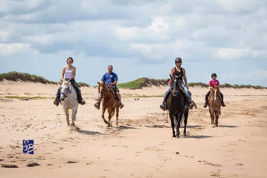 Prince Edward Island: Erlebtes Reiten am Strand. Foto: GetYourGuide Prince Edward Island: Erlebtes Reiten am Strand. Foto: GetYourGuide