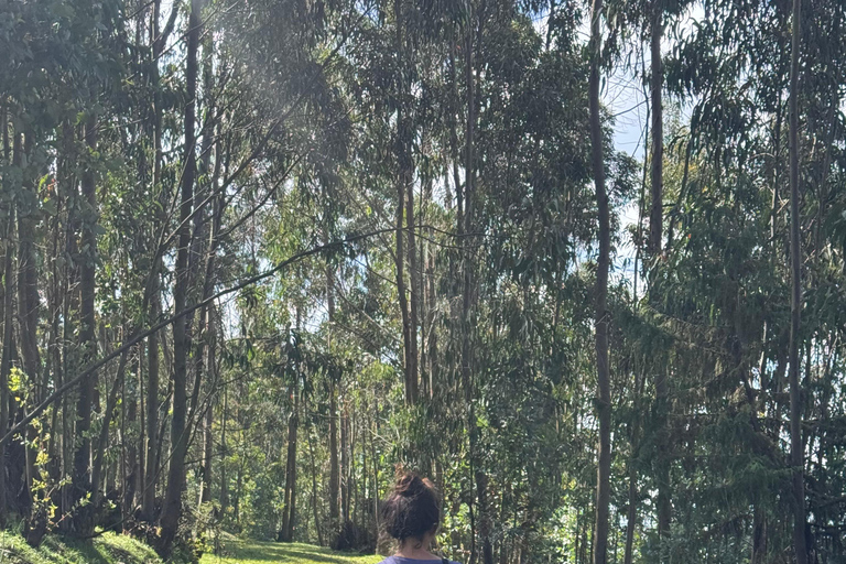 From Addis Ababa: 3-Day Ethiopia Highlights Adventure