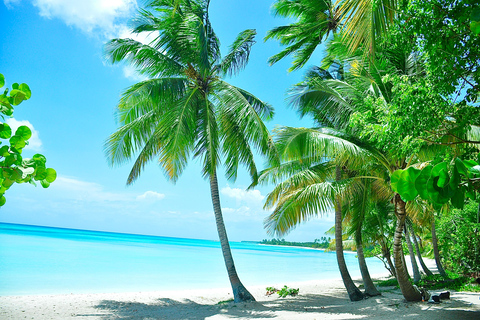 Punta Cana: Saona Island Tour with Lunch and Drinks