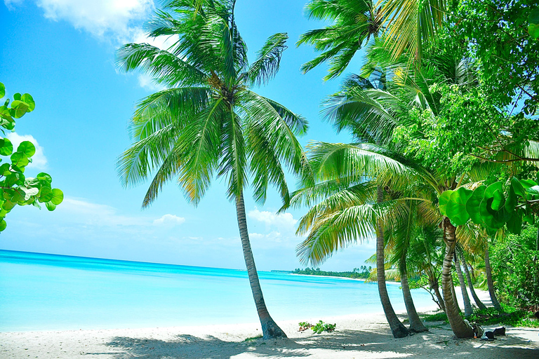 Punta Cana: Saona Island Tour with Lunch and Drinks