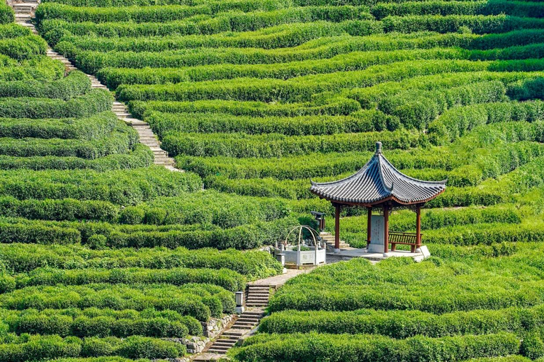 Shanghai & Hangzhou: 2-Day Private Tour with Bullet Train