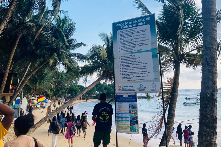 Galle Fort, Mask Museum, and Turtle Hatchery Day Trip