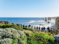 From Melbourne, Great Ocean Road and Wildlife Tour - Housity