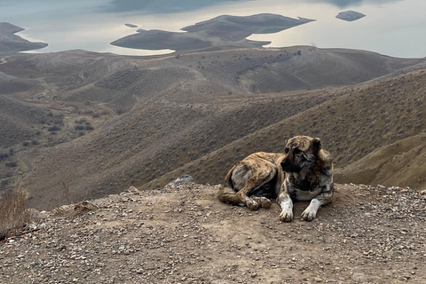 Yerevan: passeio privado por Dvin e Artashat com o Monte AraratYerevan: Dvin e Artashat, passeio privado com o Monte Ararat