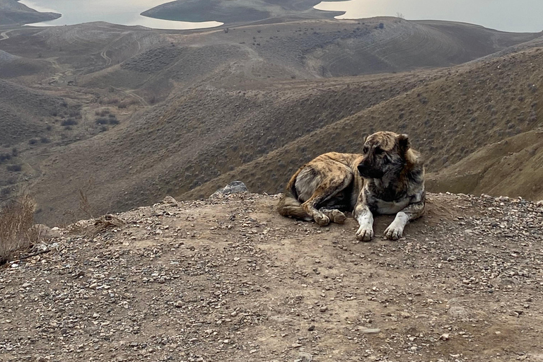 Yerevan: passeio privado por Dvin e Artashat com o Monte AraratYerevan: Dvin e Artashat, passeio privado com o Monte Ararat