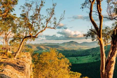 Overnight Safari to Aberdare National park from Nairobi