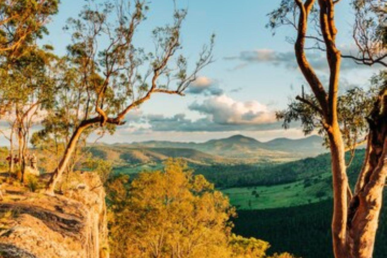 Overnight Safari to Aberdare National park from Nairobi