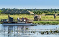 Livingstone, Chobe National Park Safari with Lunch - Housity
